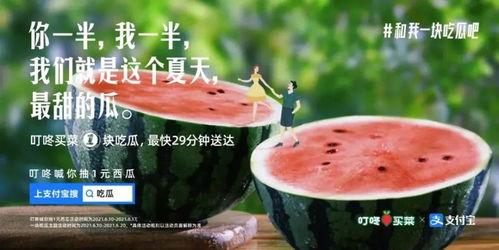 夏日很甜请你吃瓜,跟随“夏日很甜”的脚步，共享瓜果飘香时光