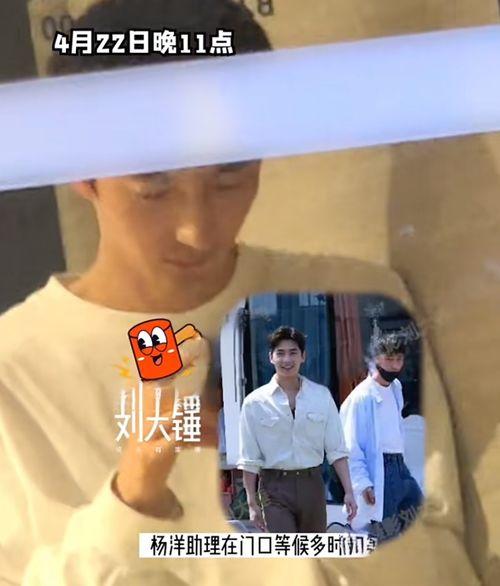 杨洋王楚然互相爆料视频,友情与争议的交织