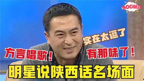 哪些明星说陕西话多,这些明星方言情缘揭秘