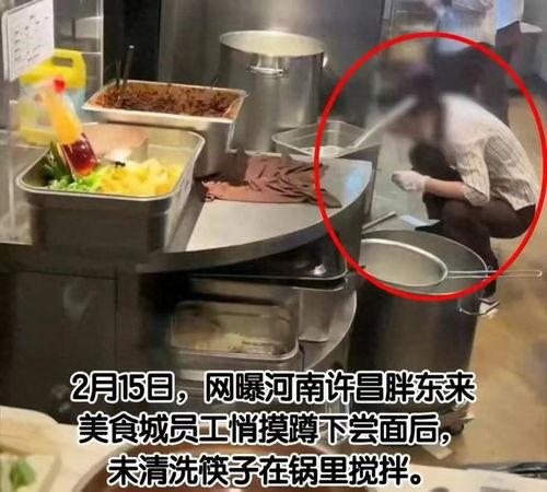 硬哥美食爆料视频大全集,视频大全集带你领略美食世界