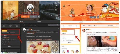 微博网红推广费用