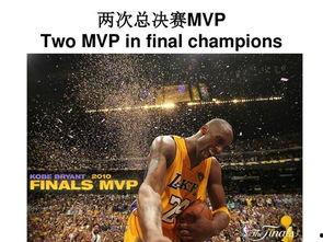 myhero在线观看,myhero在线观看之旅