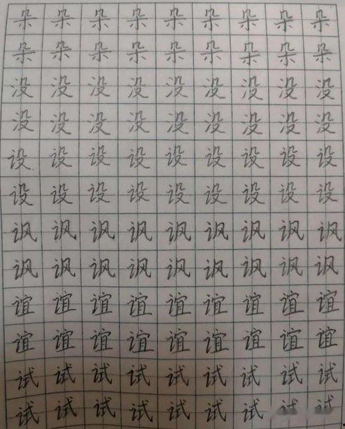 书法小明星评比,墨香飘溢，传承国粹风采